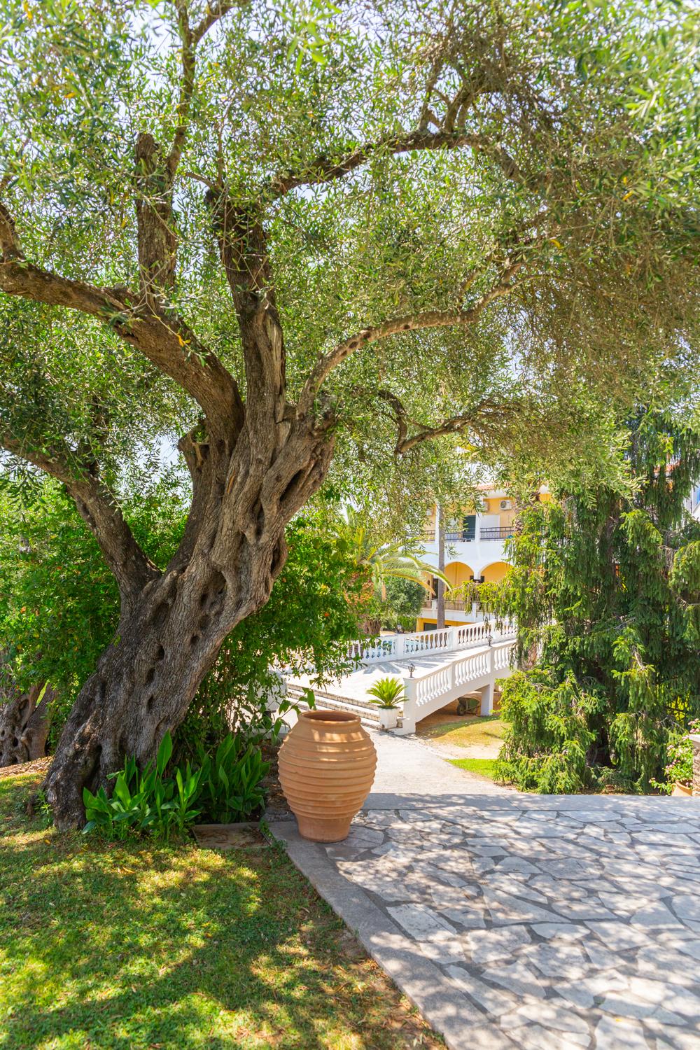 Paradise Hotel Corfu Gouvia Dış mekan fotoğraf